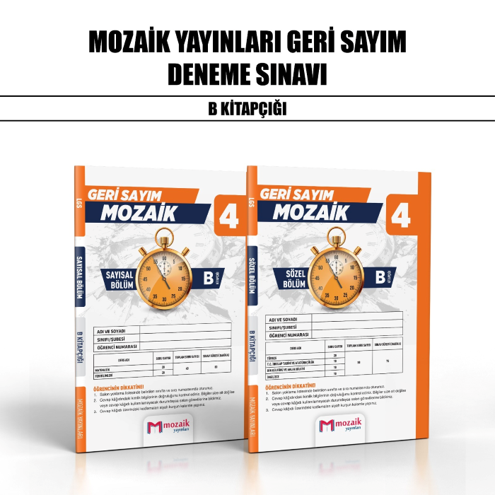 GERİ SAYIM MOZAİK 08.SINIF DENEME SY/SZ 4-B - 25